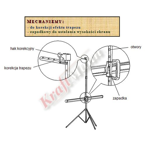 diploma-screen-dualtripod-10_2.jpg